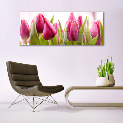 Pintura em vidro Tulipas Flores Planta