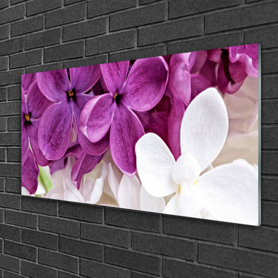 Quadro de vidro Flores Planta Natureza