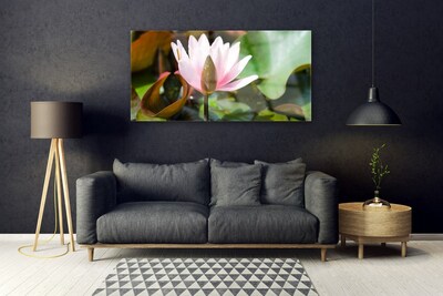 Pintura em vidro Flor Planta Natureza