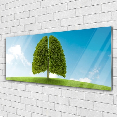 Quadro de vidro Grama Árvore Pulmão Natureza