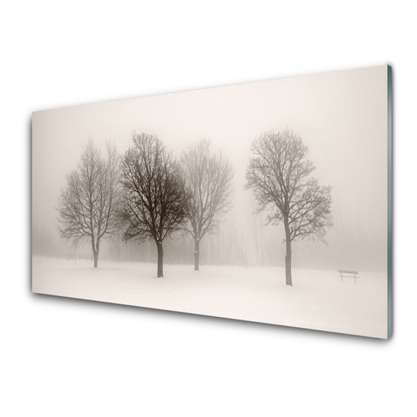 Quadro de vidro Paisagem de árvores de neve