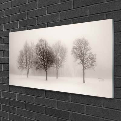 Quadro de vidro Paisagem de árvores de neve