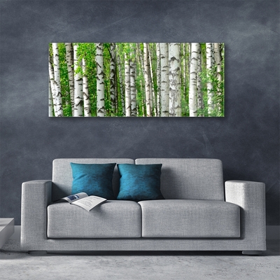 Quadro de vidro Floresta Planta Natureza Árvores