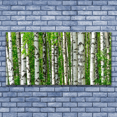 Quadro de vidro Floresta Planta Natureza Árvores
