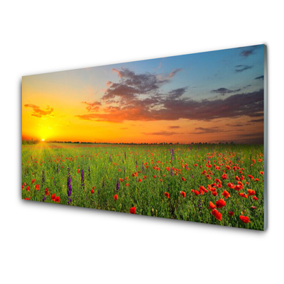 Pintura em vidro Sun Meadow Flores Natureza