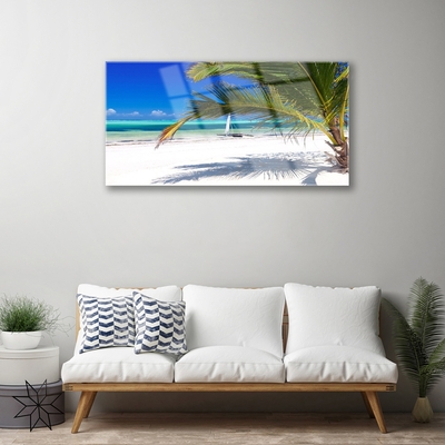 Quadro de vidro Paisagem de Palm Beach