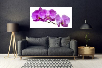 Pintura em vidro Flores Planta Natureza