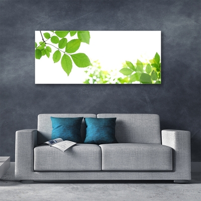 Pintura em vidro Pétalas Planta Natureza