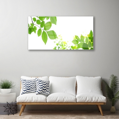 Pintura em vidro Pétalas Planta Natureza