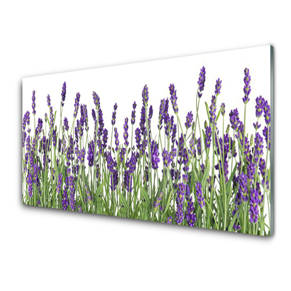 Quadro de vidro Flores Planta Natureza