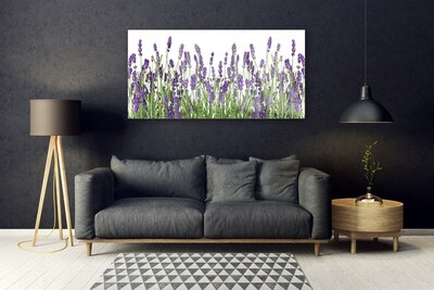 Quadro de vidro Flores Planta Natureza