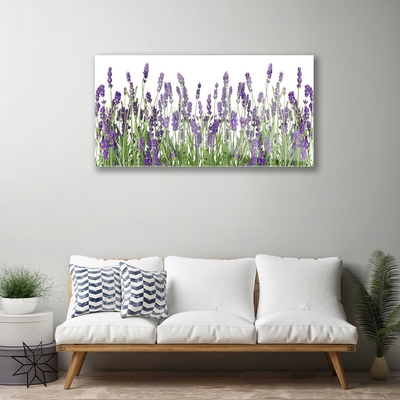 Quadro de vidro Flores Planta Natureza