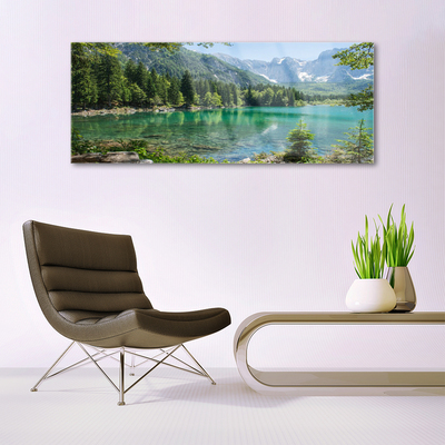 Quadro de vidro Montanhas Lago Floresta Natureza