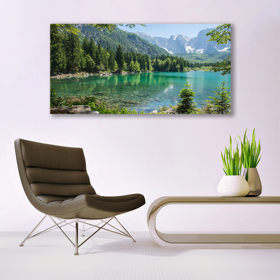 Quadro de vidro Montanhas Lago Floresta Natureza