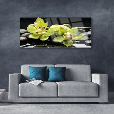 Quadro de vidro Planta de orquídea flor