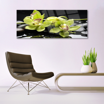Quadro de vidro Planta de orquídea flor