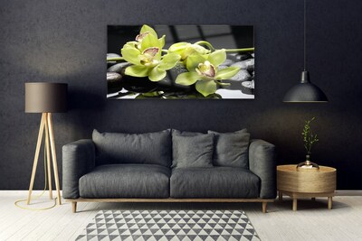 Quadro de vidro Planta de orquídea flor