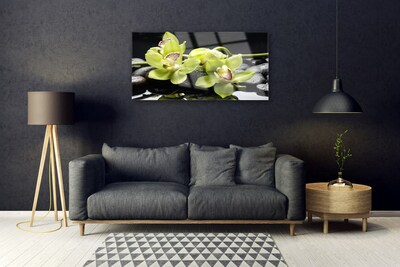 Quadro de vidro Planta de orquídea flor