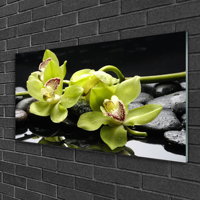 Quadro de vidro Planta de orquídea flor