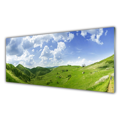 Pintura em vidro Campo Natural de Mountain Meadow