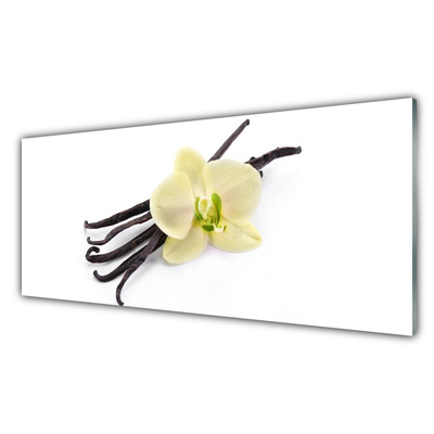 Pintura em vidro Flor Planta Natureza