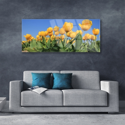 Pintura em vidro Tulipas Flores Planta