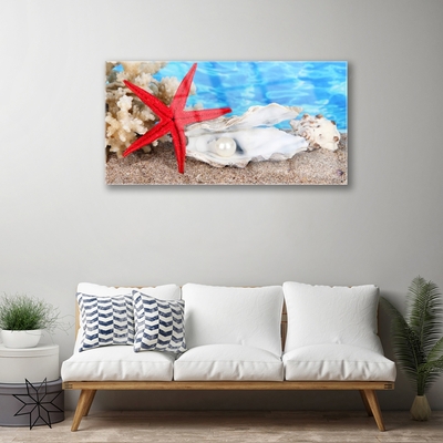 Quadro de vidro Conchas de estrelas do mar Natureza