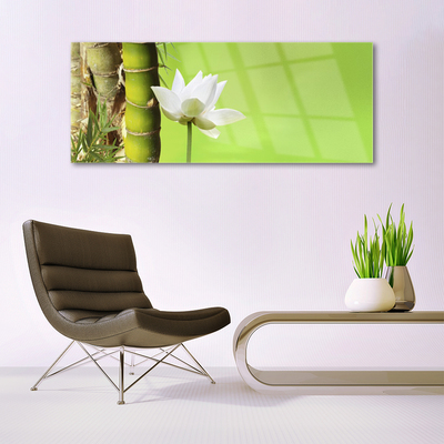 Quadro de vidro Caule de bambu planta natureza