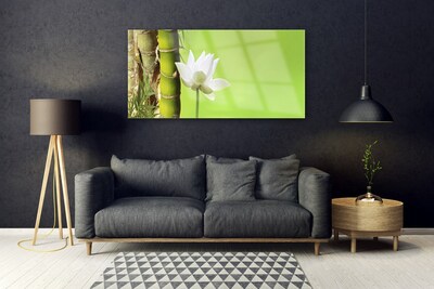 Quadro de vidro Caule de bambu planta natureza