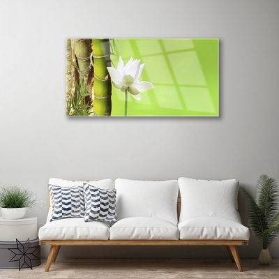 Quadro de vidro Caule de bambu planta natureza