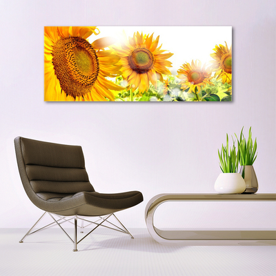 Quadro de vidro Planta de flor de girassol