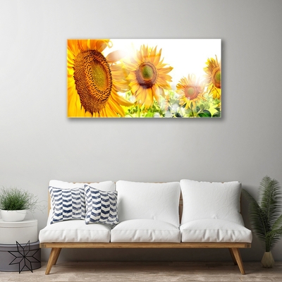 Quadro de vidro Planta de flor de girassol