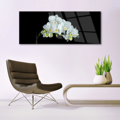 Quadro de vidro Flores Planta Natureza