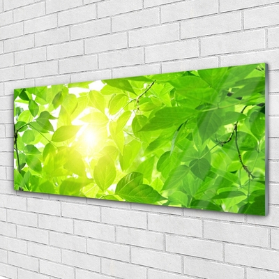 Pintura em vidro Folhas Natureza Sol Planta