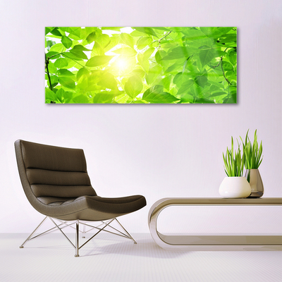 Pintura em vidro Folhas Natureza Sol Planta