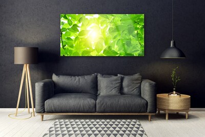Pintura em vidro Folhas Natureza Sol Planta