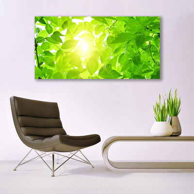 Pintura em vidro Folhas Natureza Sol Planta
