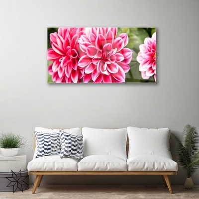 Quadro de vidro Flores Planta Natureza