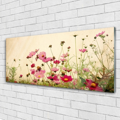Quadro de vidro Flores Planta Natureza