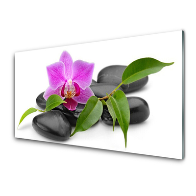 Quadro de vidro Arte de orquídeas florais