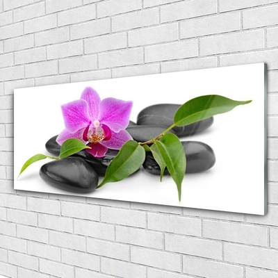 Quadro de vidro Arte de orquídeas florais