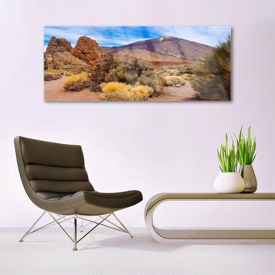 Quadro de vidro Montanhas Plantas Rochas Paisagem