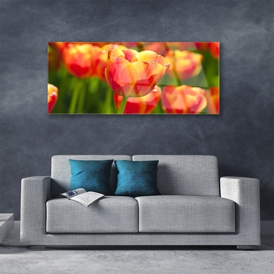 Quadro de vidro Tulipas Flores Planta