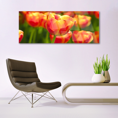 Quadro de vidro Tulipas Flores Planta