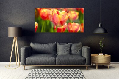 Quadro de vidro Tulipas Flores Planta