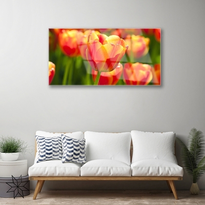Quadro de vidro Tulipas Flores Planta