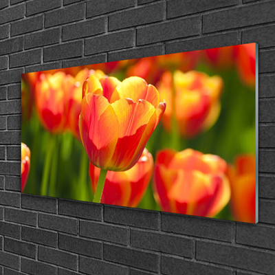Quadro de vidro Tulipas Flores Planta