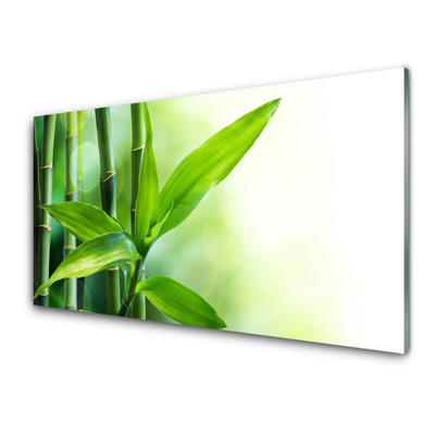 Quadro de vidro Planta de folha de bambu Natureza