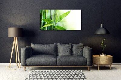 Quadro de vidro Planta de folha de bambu Natureza