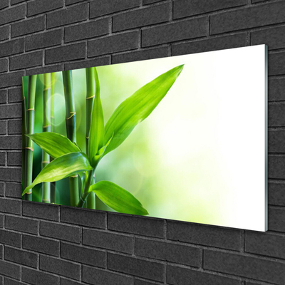 Quadro de vidro Planta de folha de bambu Natureza